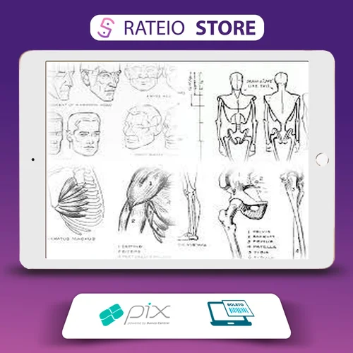 Livros de Desenho - Andrew Loomis